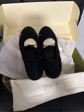 Silk ballet flats from lilysilk brand new